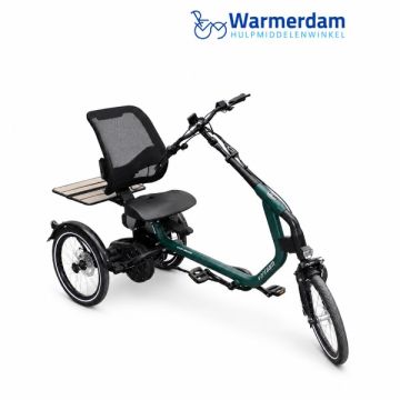 vanRaam Easy Rider driewielfiets – Mosgroen mat