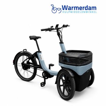 vanRaam Thuja - Stonewash Grey